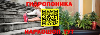 молекула духа Гусев