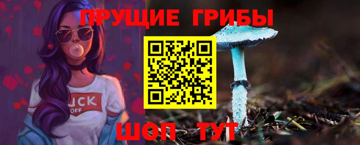 Галлюциногенные грибы Psilocybine cubensis Нурлат